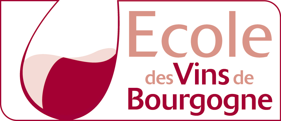 logo edv